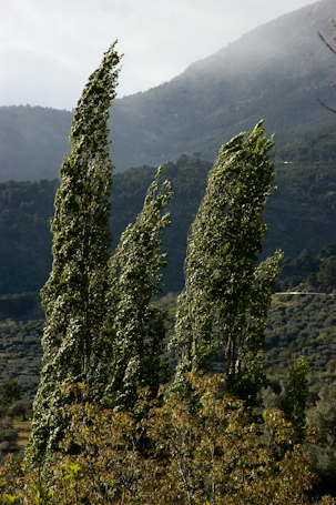 San Esteban del Valle